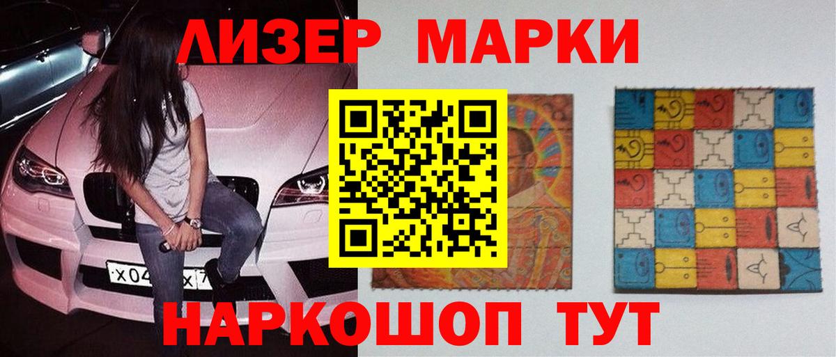 Псилоцибиновые грибы Кудрово