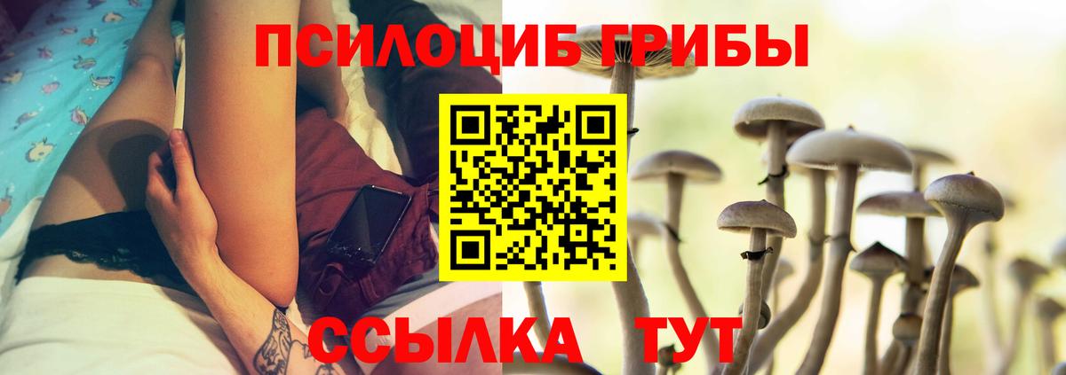 Галлюциногенные грибы GOLDEN TEACHER Кудрово